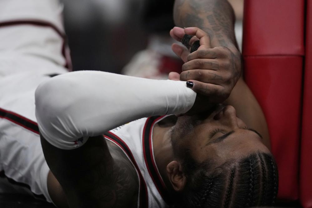 法国野兽 法国野兽